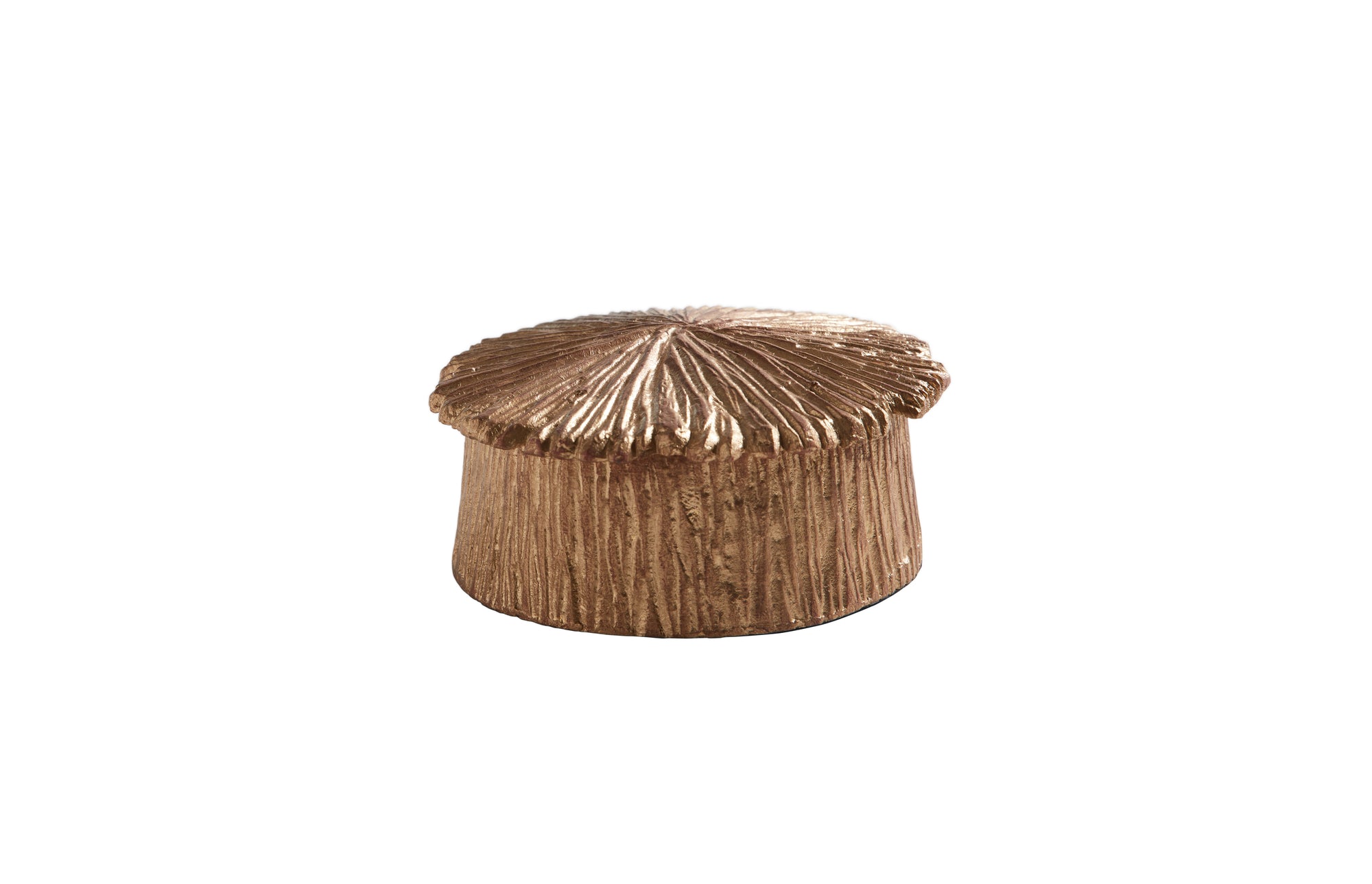Feather Coral Round Box (S)
