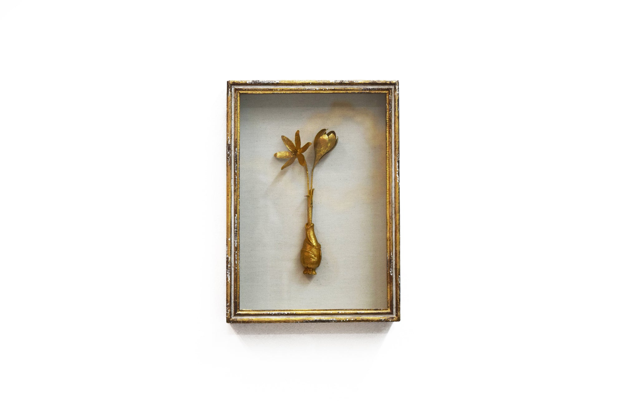 Framed Autumn Crocus (Gold)