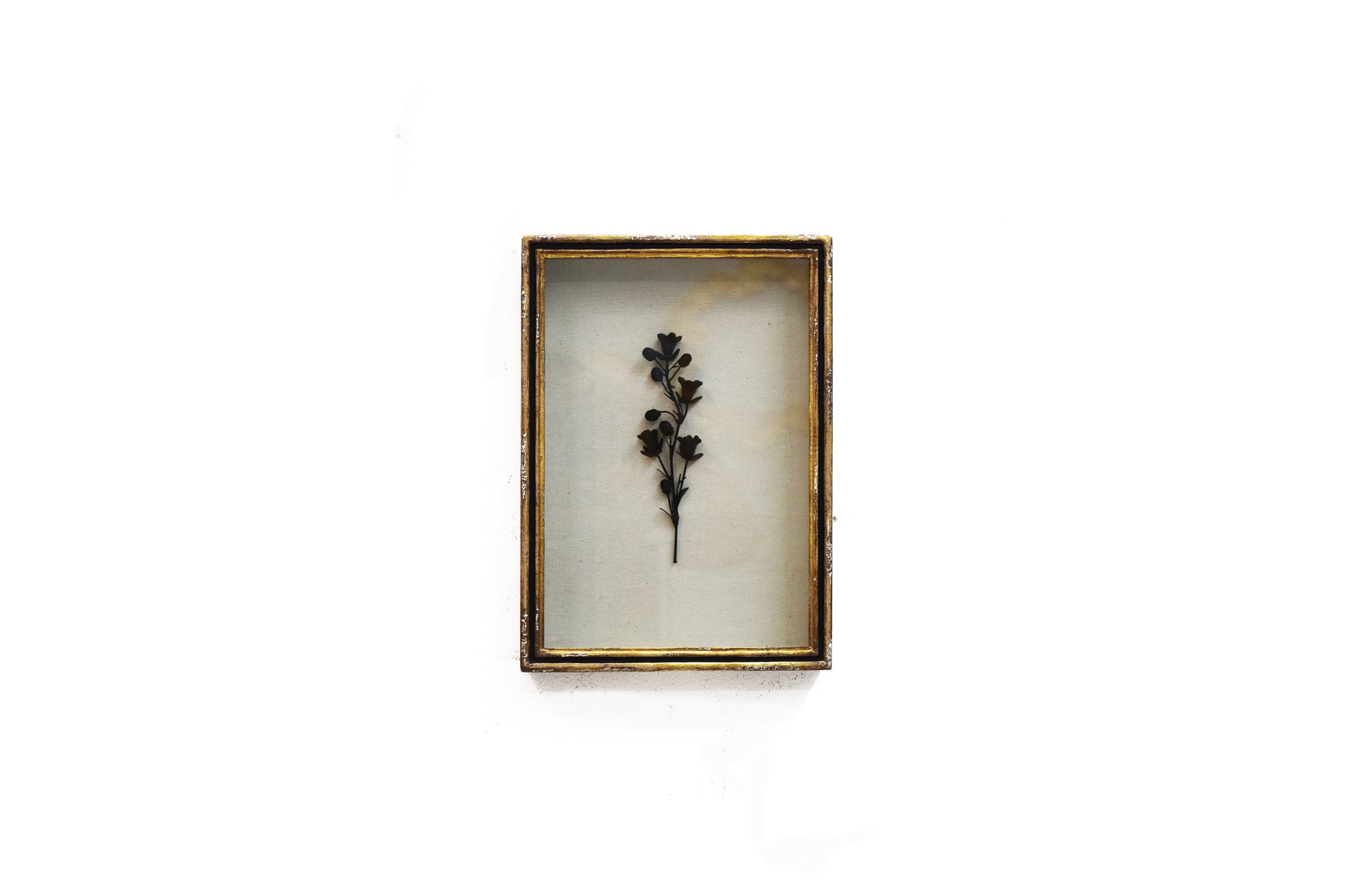 Framed Rampion Bell Flower (Black)