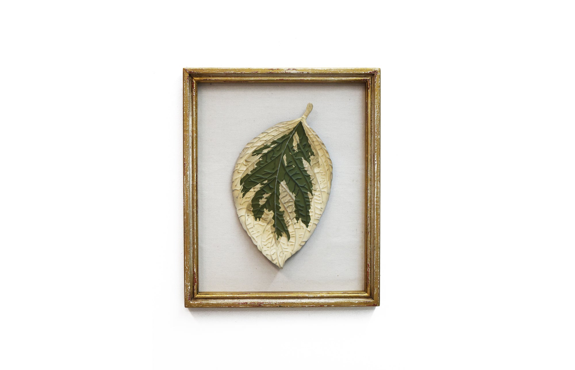 Framed African Nightshade Leaf